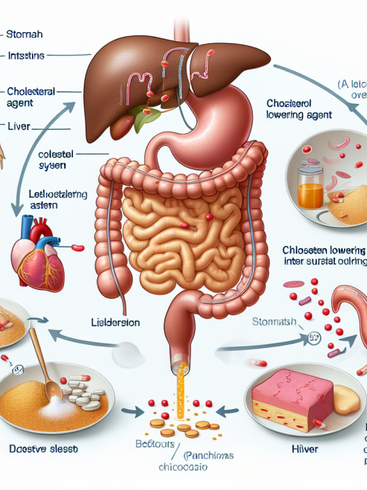 Cómo responde el sistema digestivo a Colesterol - agentes reductores
